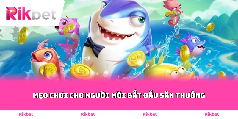 Mẹo chơi cho người mới bắt đầu săn thưởng